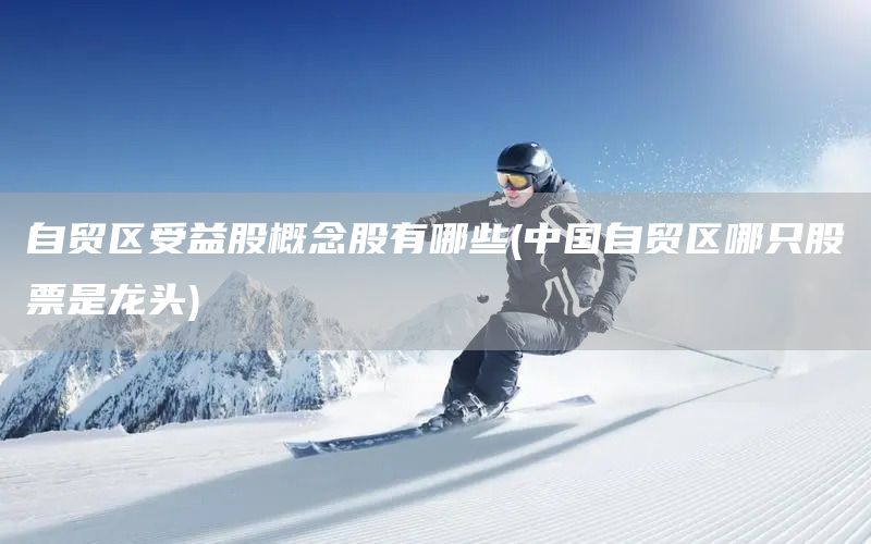 自貿(mào)區(qū)受益股概念股有哪些(中國(guó)自貿(mào)區(qū)哪只股票是龍頭)(圖1)